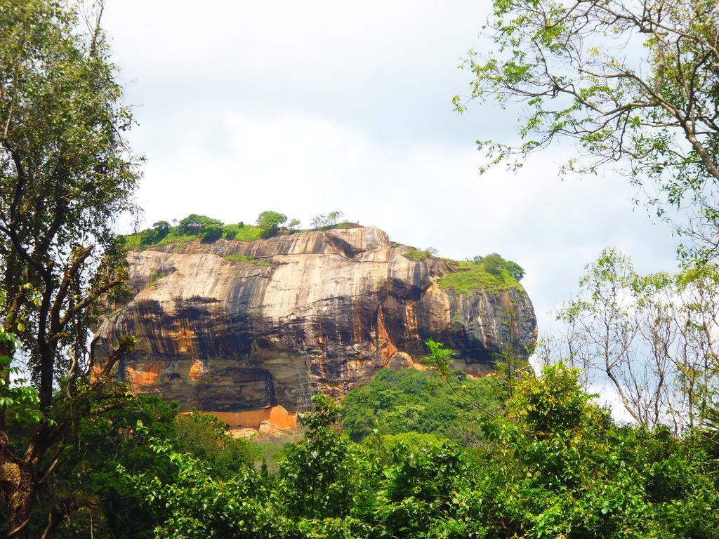 The Nilmini Lodge Sigiriya Exteriér fotografie